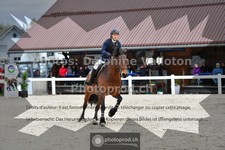 ref. photo 3565569