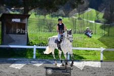 ref. photo 3565584