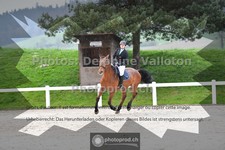 ref. photo 3565594