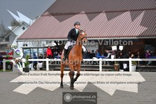 ref. photo 3565600