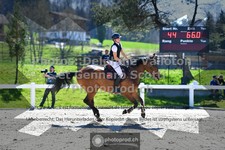 ref. photo 3565636