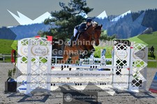 ref. photo 3565649