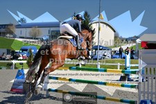 ref. photo 3565651