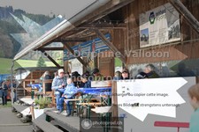 ref. photo 3565706
