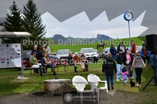 ref. photo 3565708