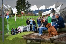 ref. photo 3565716