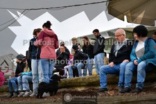 ref. photo 3565718