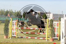 ref. photo 3679000
