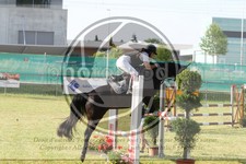 ref. photo 3679002