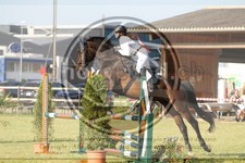 ref. photo 3679013