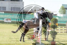 ref. photo 3679014