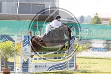 ref. photo 3679020