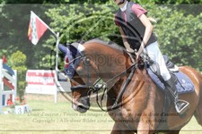 ref. photo 3679038