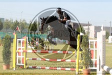 ref. photo 3679057