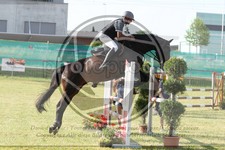 ref. photo 3679059