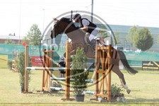 ref. photo 3679076