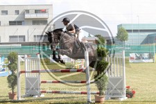 ref. photo 3679105