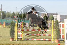 ref. photo 3679120