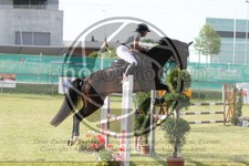 ref. photo 3679122