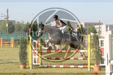 ref. photo 3679141