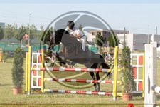 ref. photo 3679171