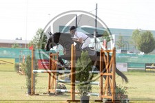 ref. photo 3679178