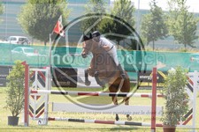 ref. photo 3679191