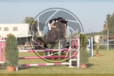 ref. photo 3679201