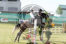 ref. photo 3679217