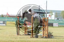 ref. photo 3679222