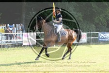 ref. photo 3679240