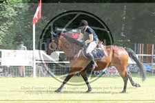 ref. photo 3679253