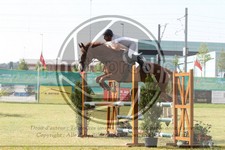 ref. photo 3679292
