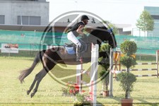 ref. photo 3679306