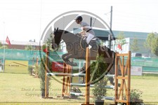 ref. photo 3679317