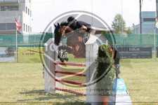 ref. photo 3679329