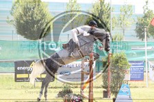 ref. photo 3679336