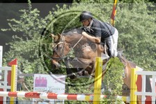 ref. photo 3679351