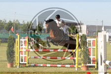 ref. photo 3679369