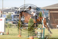 ref. photo 3679370