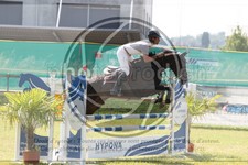 ref. photo 3679387