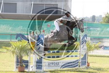 ref. photo 3679440