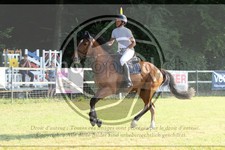 ref. photo 3679449