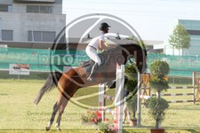 ref. photo 3679452