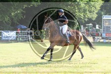 ref. photo 3679461