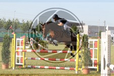 ref. photo 3679462
