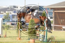 ref. photo 3679463