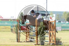 ref. photo 3679469
