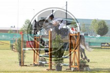 ref. photo 3679495