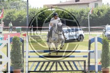 ref. photo 3679501